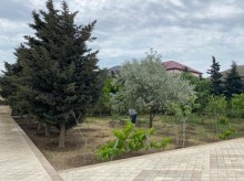 Satılır Torpaq, Xəzər.r, Mərdəkan, Koroğlu.m-4