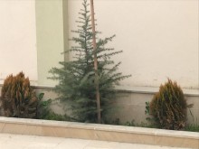 Satılır Həyət evi, Səbail.r, Badamdar-19