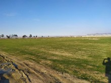 Satılır Torpaq, Suraxanı.r, Hövsan-16