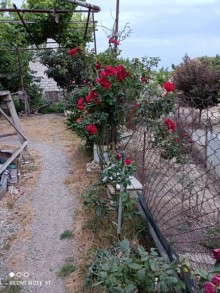 Satılır Həyət evi, Sabunçu.r, Ramana, Koroğlu.m-15