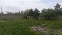 Satılır Torpaq, Sabunçu.r, Bilgəh-3
