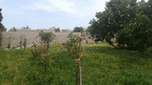 Satılır Torpaq, Sabunçu.r, Bilgəh-4