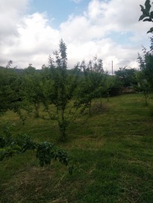 Satılır Torpaq, Qəbələ.ş-3