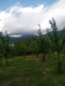 Satılır Torpaq, Qəbələ.ş-6