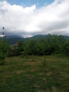Satılır Torpaq, Qəbələ.ş-8