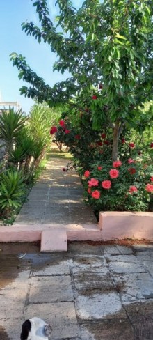 Satılır Həyət evi, -9