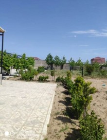 nardaranda satilan bag evi elanlari, -8