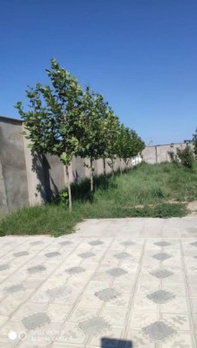 nardaranda satilan bag evi elanlari, -14