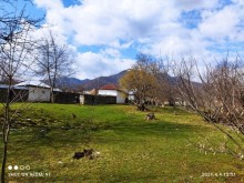 Satılır Torpaq, Qəbələ.ş-5