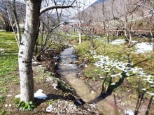 Satılır Torpaq, Qəbələ.ş-15