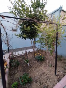 qaracuxurda heyet evi elanlari, -2