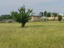 Satılır Torpaq, Qəbələ.ş-1