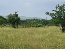 Satılır Torpaq, Qəbələ.ş-5