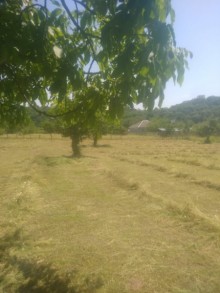 Satılır Torpaq, Qəbələ.ş-6