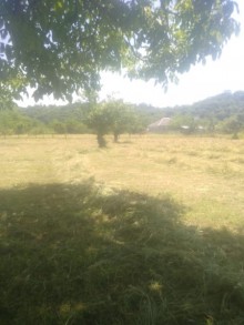 Satılır Torpaq, Qəbələ.ş-8