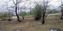 Satılır Torpaq, Qəbələ.ş-2