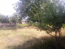 Satılır Torpaq, Qəbələ.ş-3
