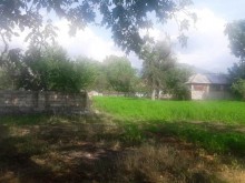 Satılır Torpaq, Qəbələ.ş-13
