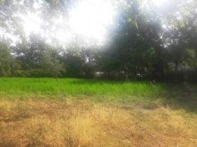 Satılır Torpaq, Qəbələ.ş-14