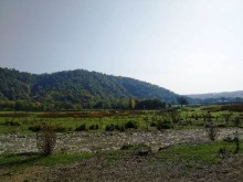 Satılır Torpaq, Qəbələ.ş-1