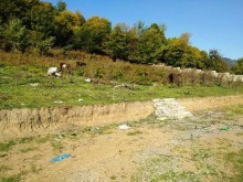 Satılır Torpaq, Qəbələ.ş-3