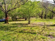 Satılır Torpaq, Qəbələ.ş-2