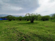 Satılır Torpaq, Qəbələ.ş-1
