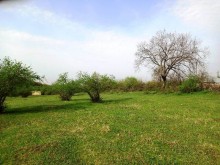 Satılır Torpaq, Qəbələ.ş-3