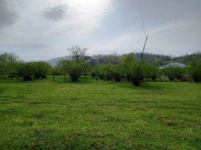 Satılır Torpaq, Qəbələ.ş-4