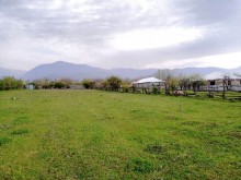 Satılır Torpaq, Qəbələ.ş-13