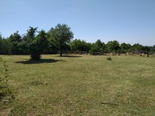 Satılır Torpaq, Qəbələ.ş-2