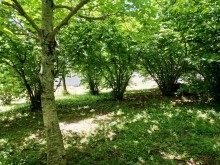 Satılır Torpaq, Qəbələ.ş-3
