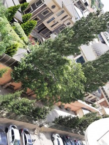 Satılır Yeni Tikili, Sabunçu.r, Bakıxanov, Neftçilər.m-15