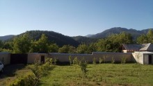 Satılır Həyət evi, Qəbələ.ş-2