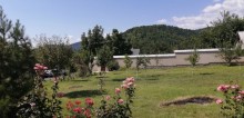 Satılır Həyət evi, Qəbələ.ş-7