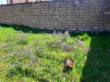 Satılır Torpaq, Səbail.r, Badamdar-2