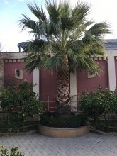 qaracuxur villa, -3