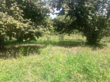Satılır Həyət evi, Qəbələ.ş-3