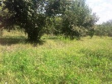 Satılır Həyət evi, Qəbələ.ş-5