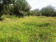 Satılır Həyət evi, Qəbələ.ş-6