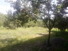 Satılır Həyət evi, Qəbələ.ş-7