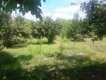 Satılır Həyət evi, Qəbələ.ş-14