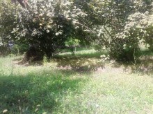 Satılır Həyət evi, Qəbələ.ş-16