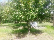 Satılır Həyət evi, Qəbələ.ş-17