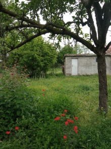 Satılır Həyət evi, Şəki.ş-7