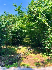 Satılır Həyət evi, Səbail.r, Badamdar-20