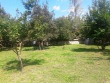 Satılır Torpaq, Qəbələ.ş-1