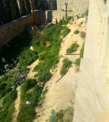 Satılır Torpaq, Səbail.r, Badamdar, Elmlər Akademiyası.m-4