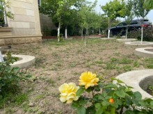 Satılır Həyət evi, Abşeron.r-6