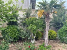 Satılır Həyət evi, Abşeron.r-7